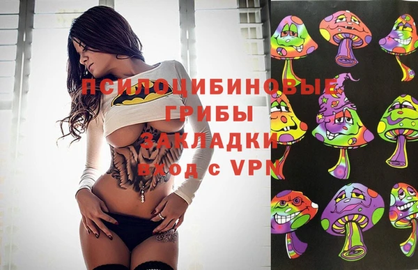 бошки Баксан