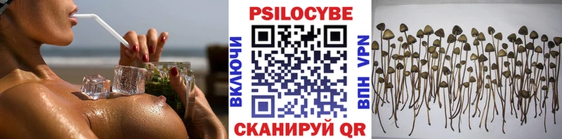 Галлюциногенные грибы ЛСД Верхоянск